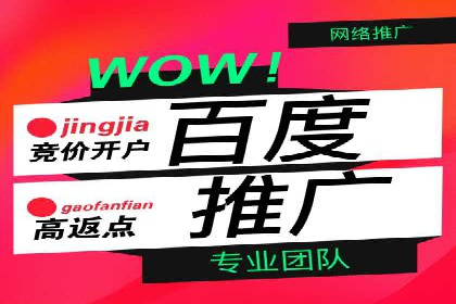 竞价推广中的移动端优化策略：基于移动用户的成功案例